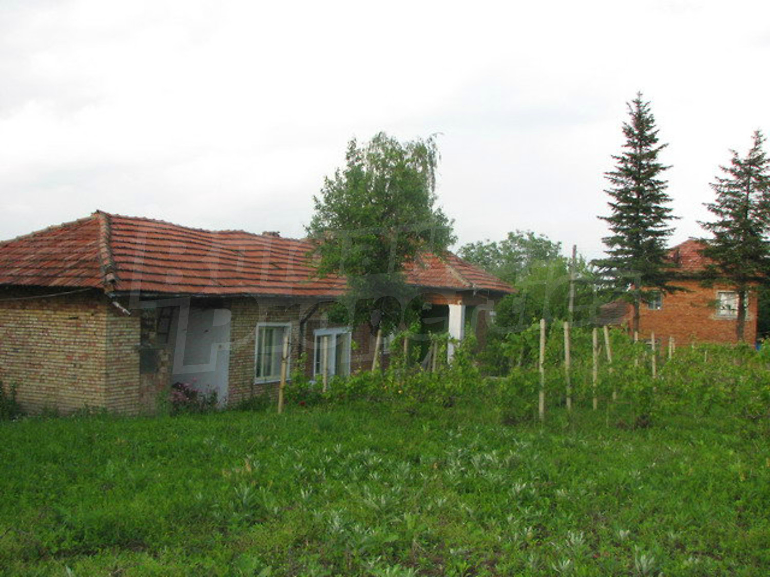 Gallery Picture 10