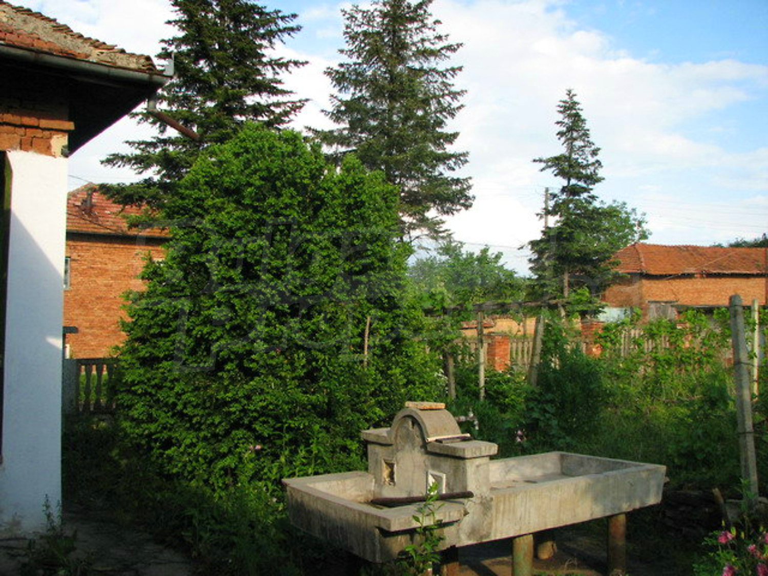 Gallery Picture 8