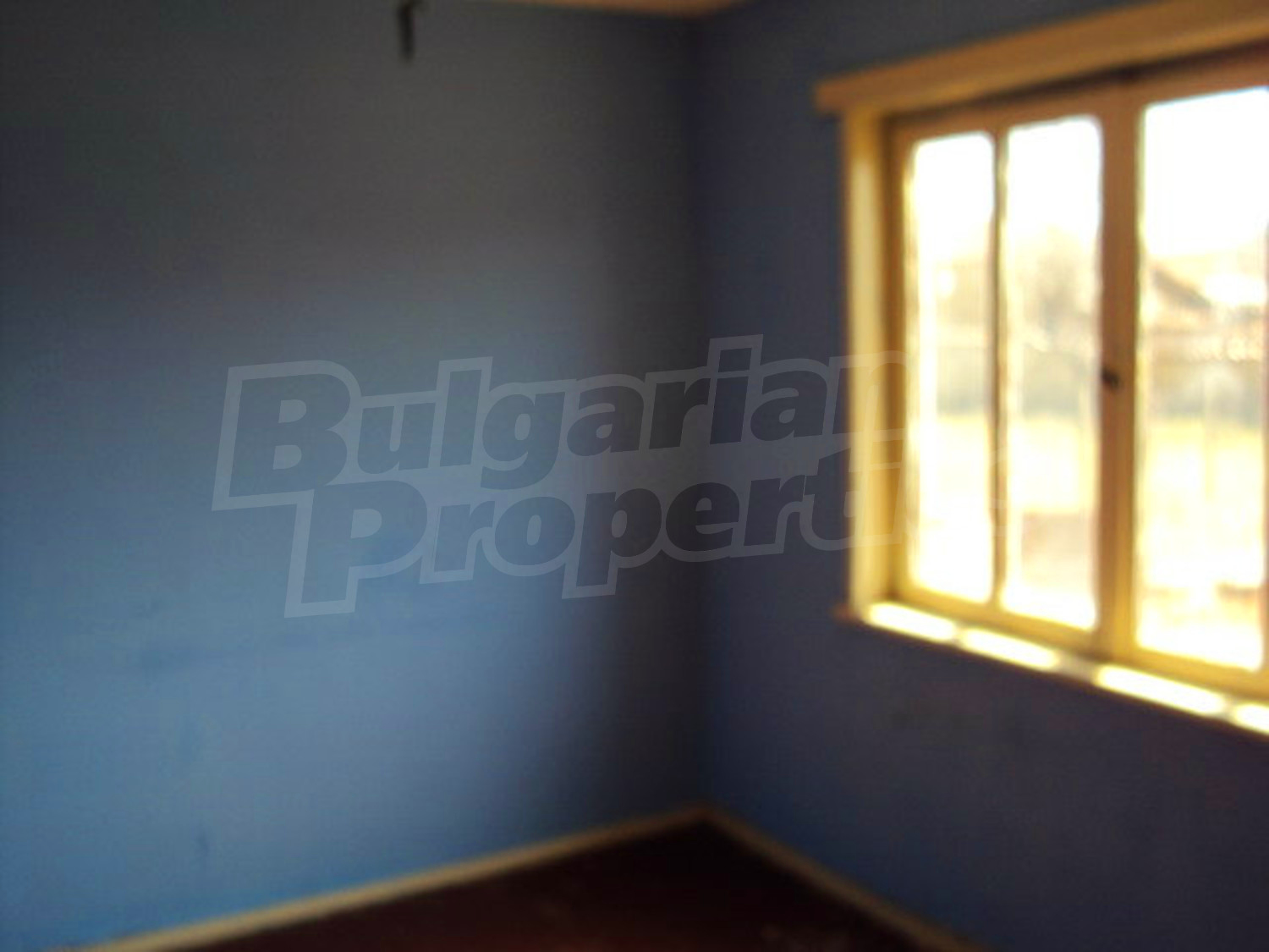 Gallery Picture 15