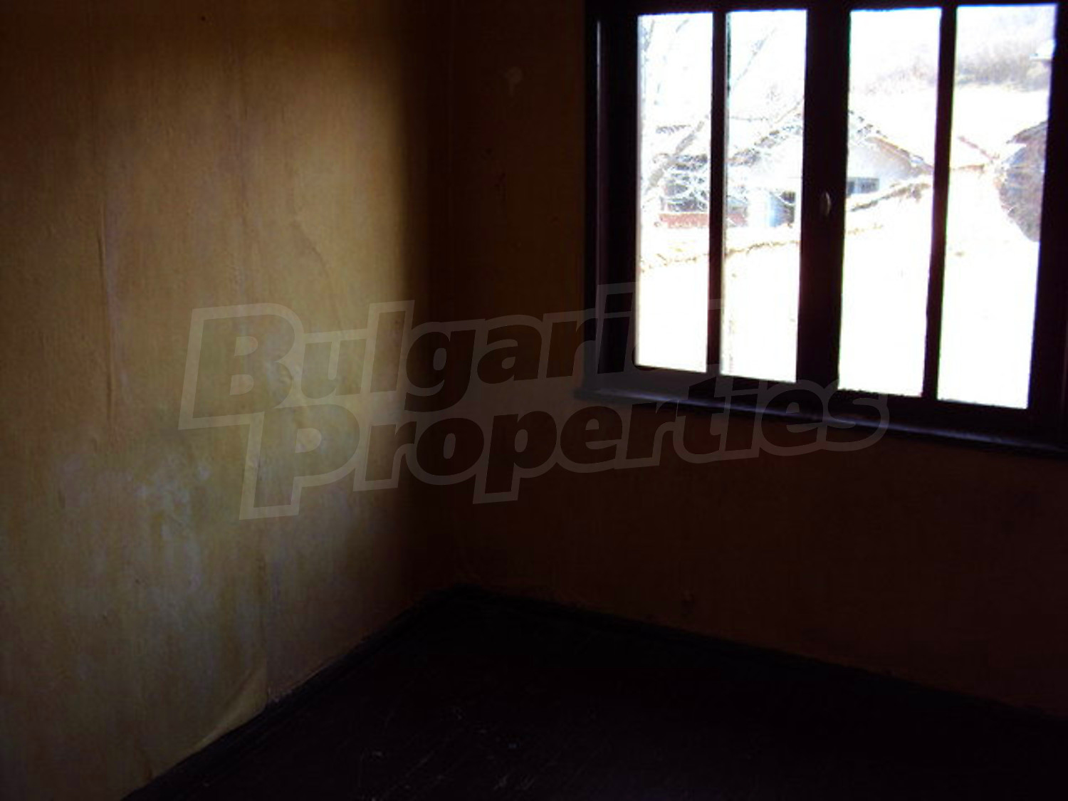Gallery Picture 16