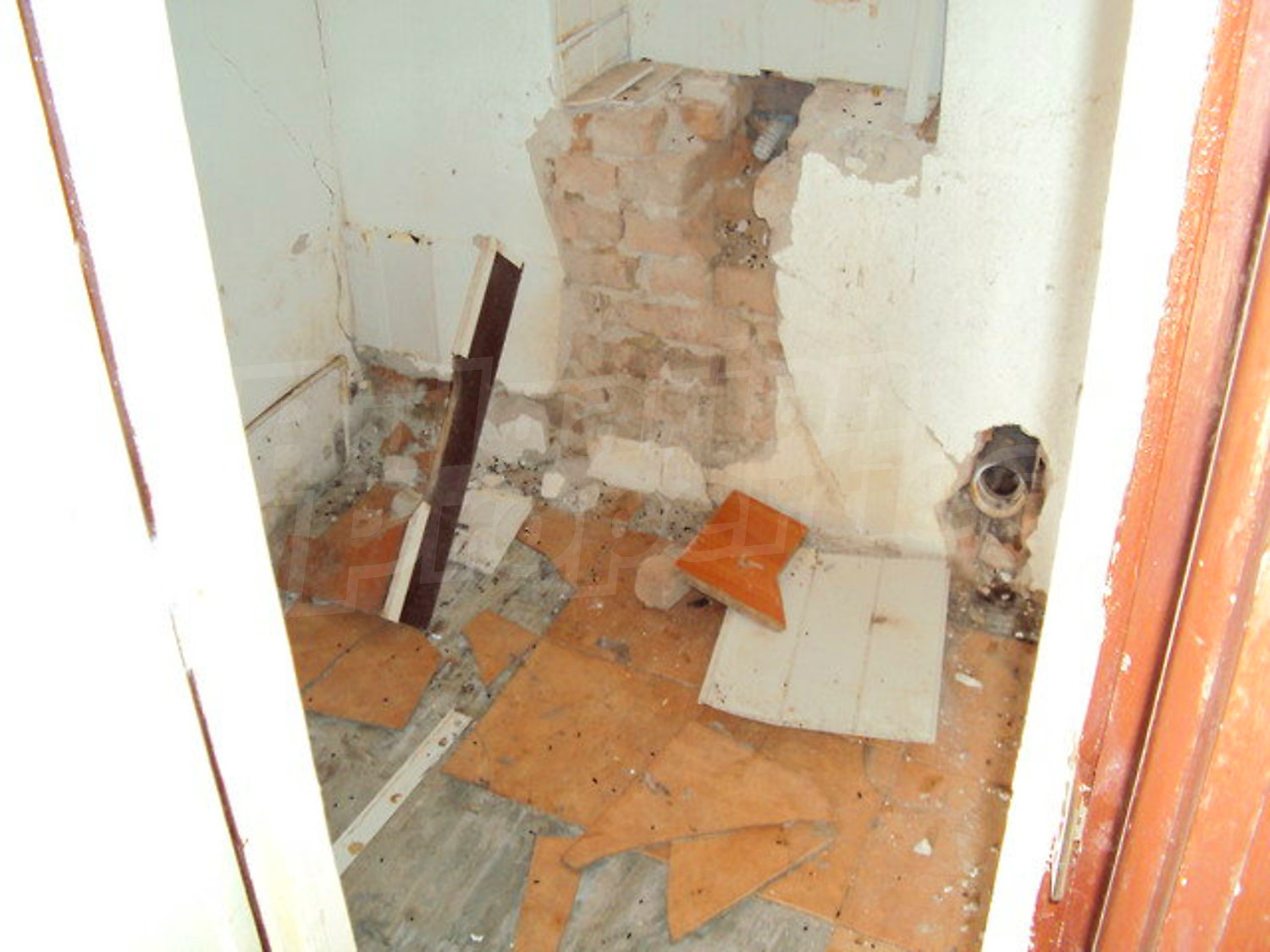 Gallery Picture 17