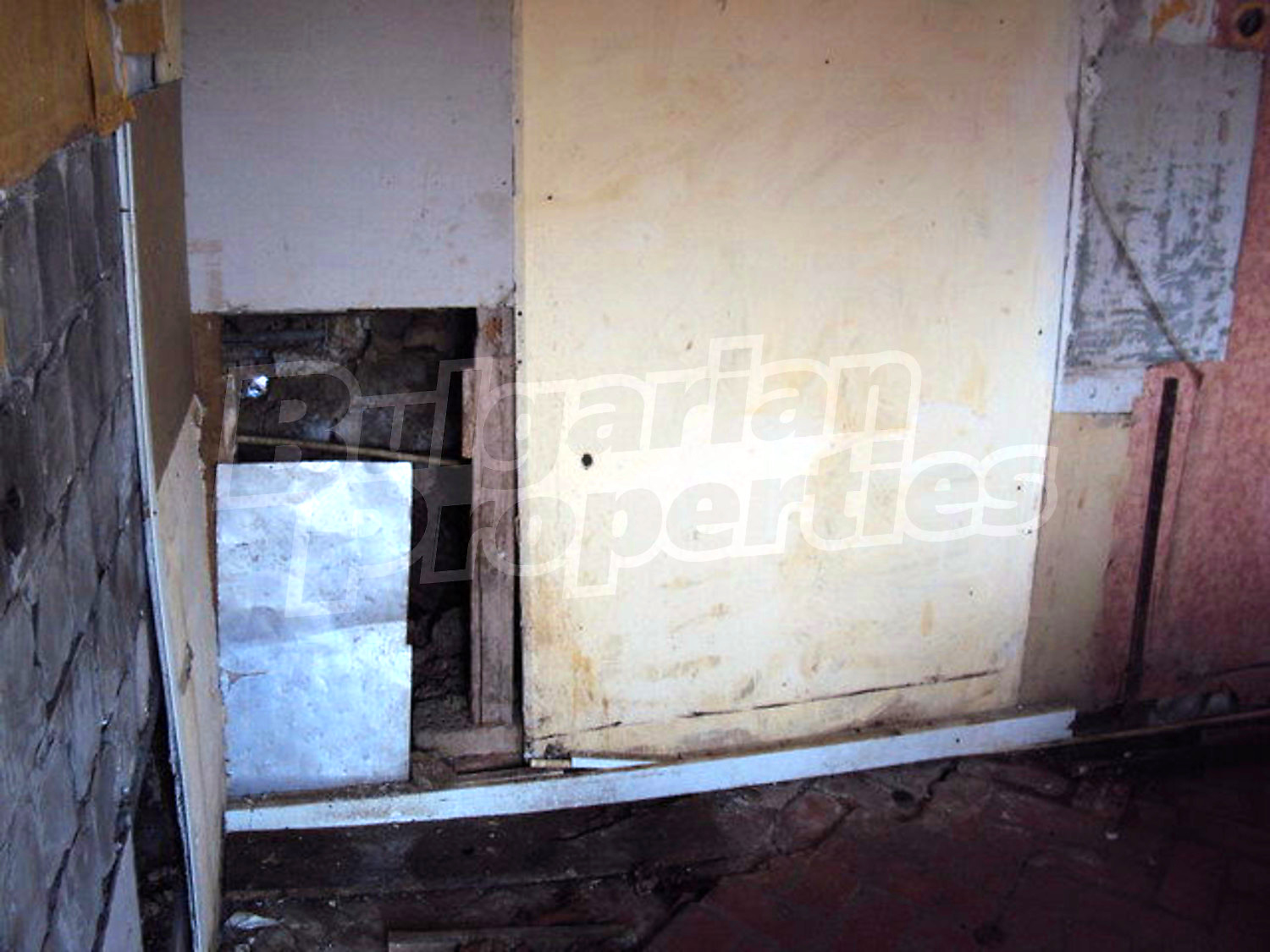 Gallery Picture 19