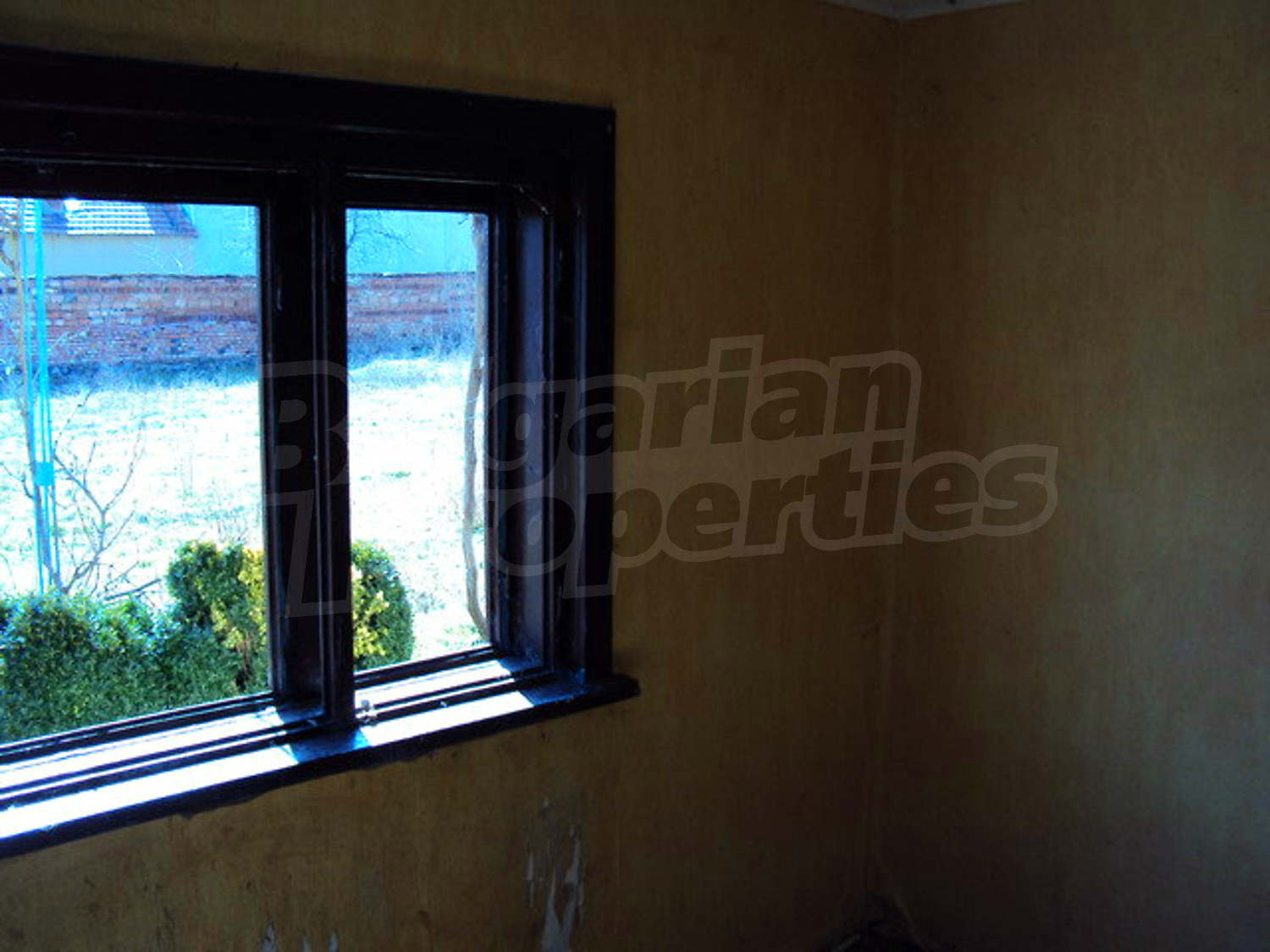 Gallery Picture 22