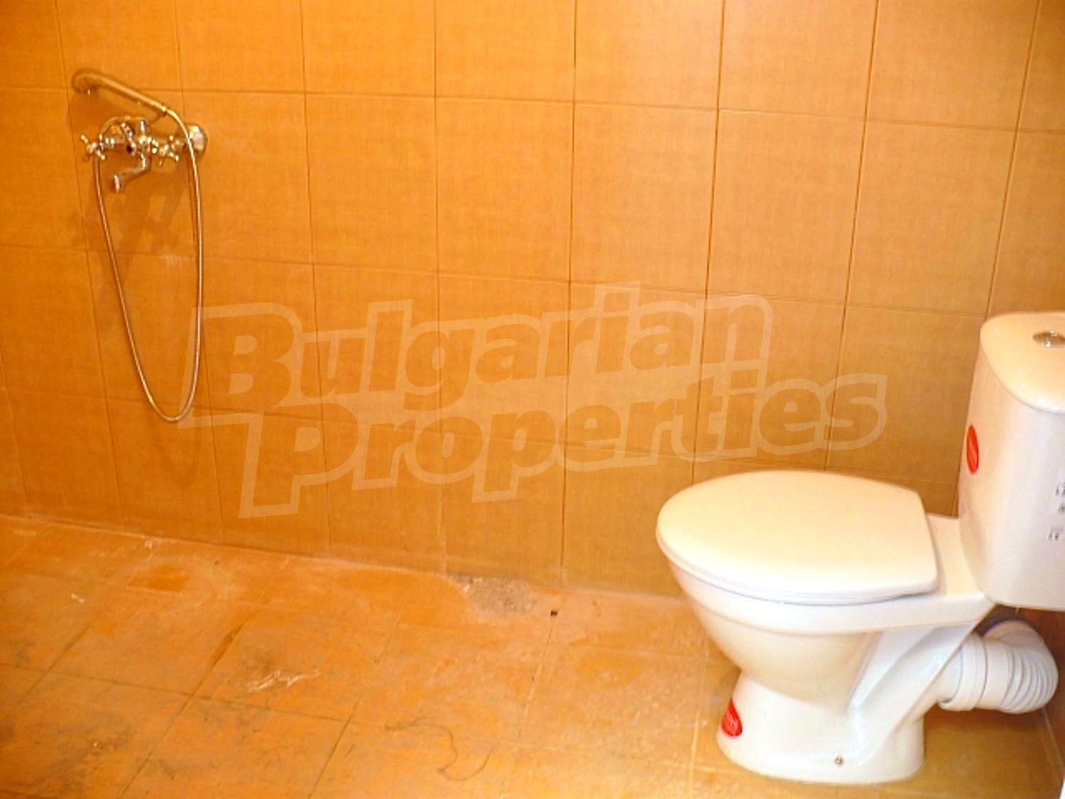 Gallery Picture 6