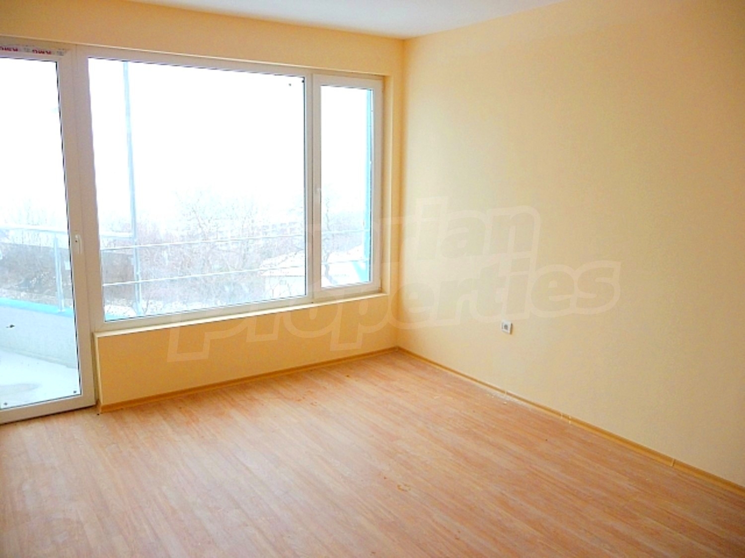 Gallery Picture 5