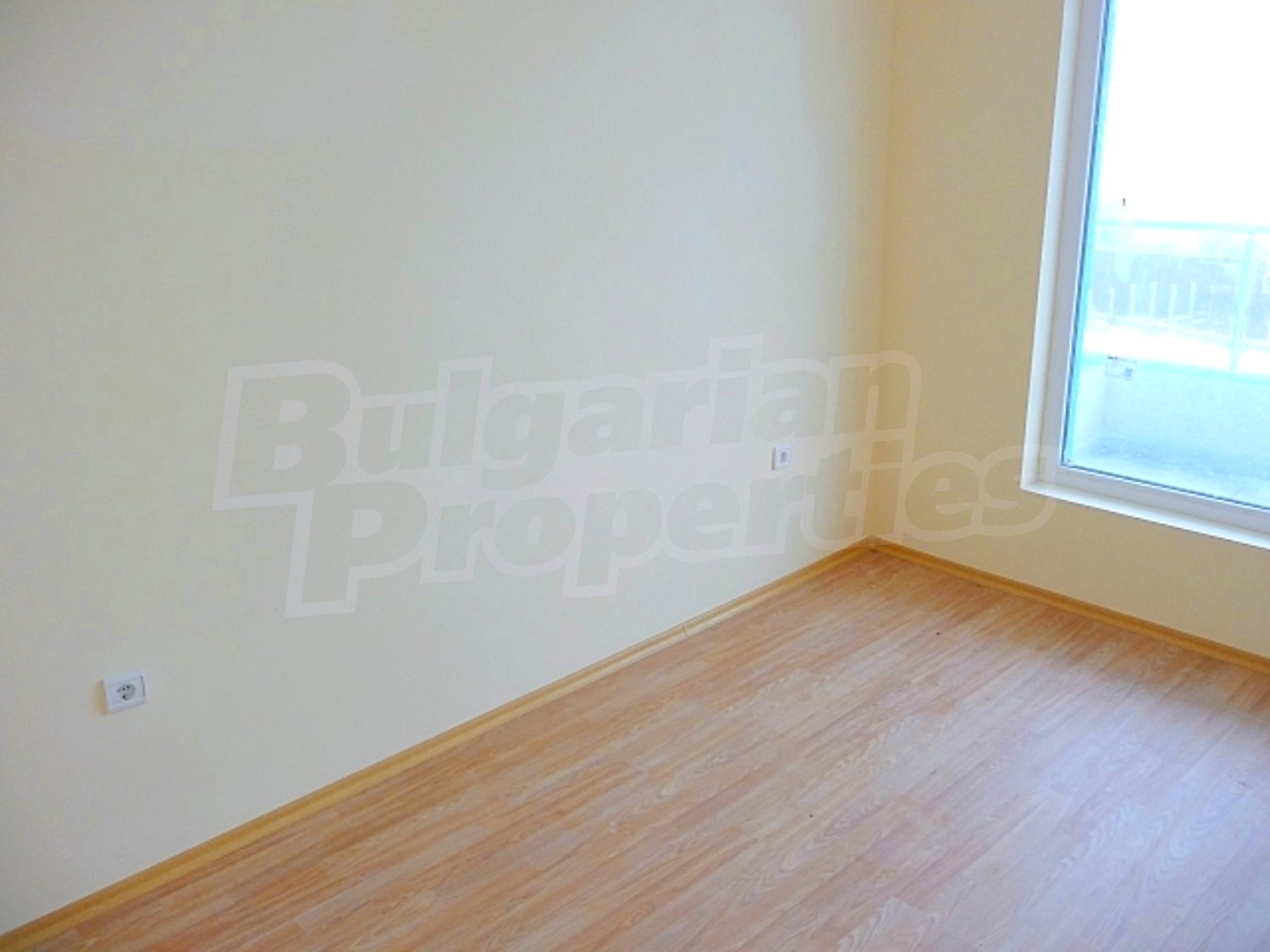 Gallery Picture 9