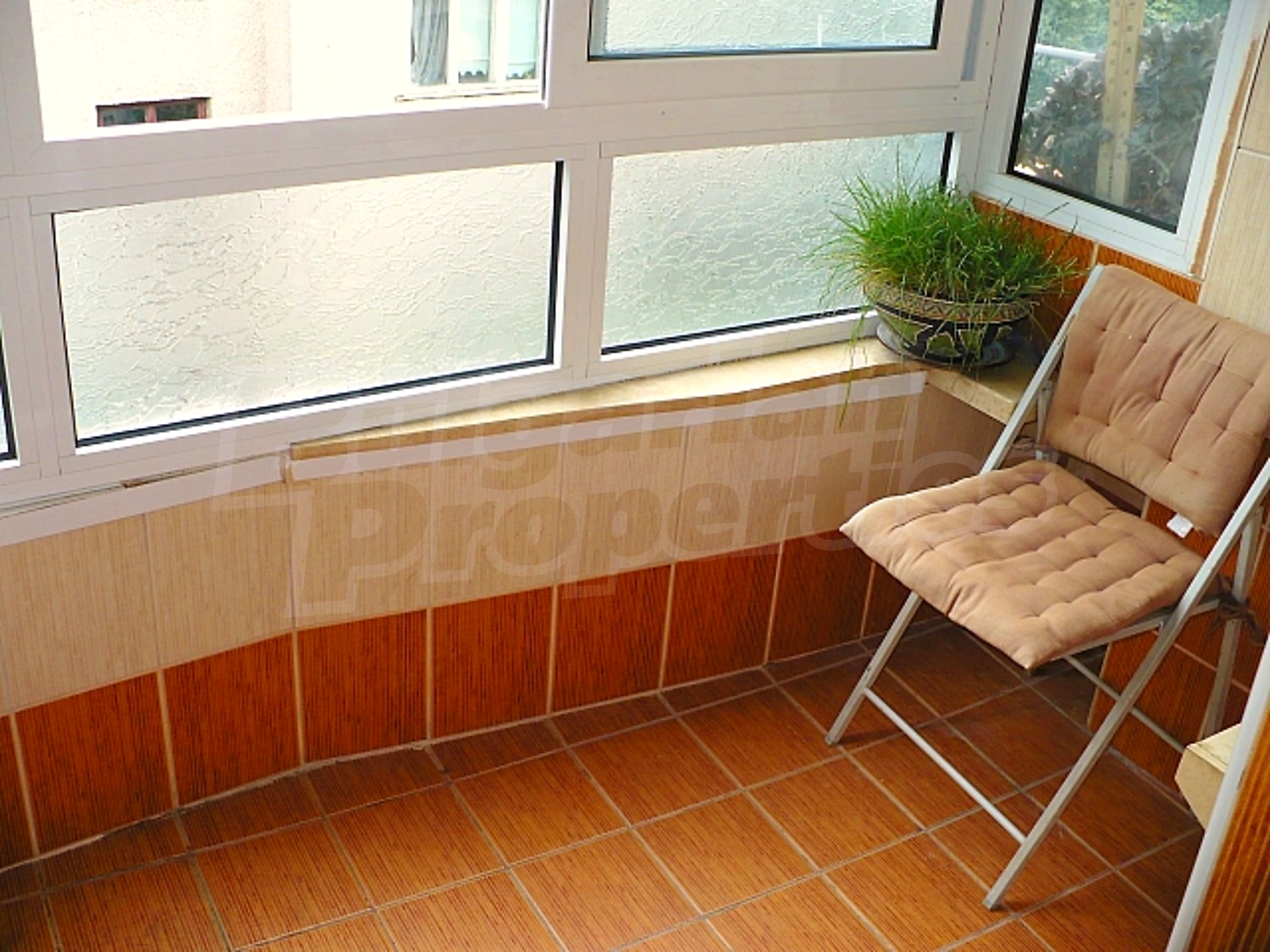 Gallery Picture 13