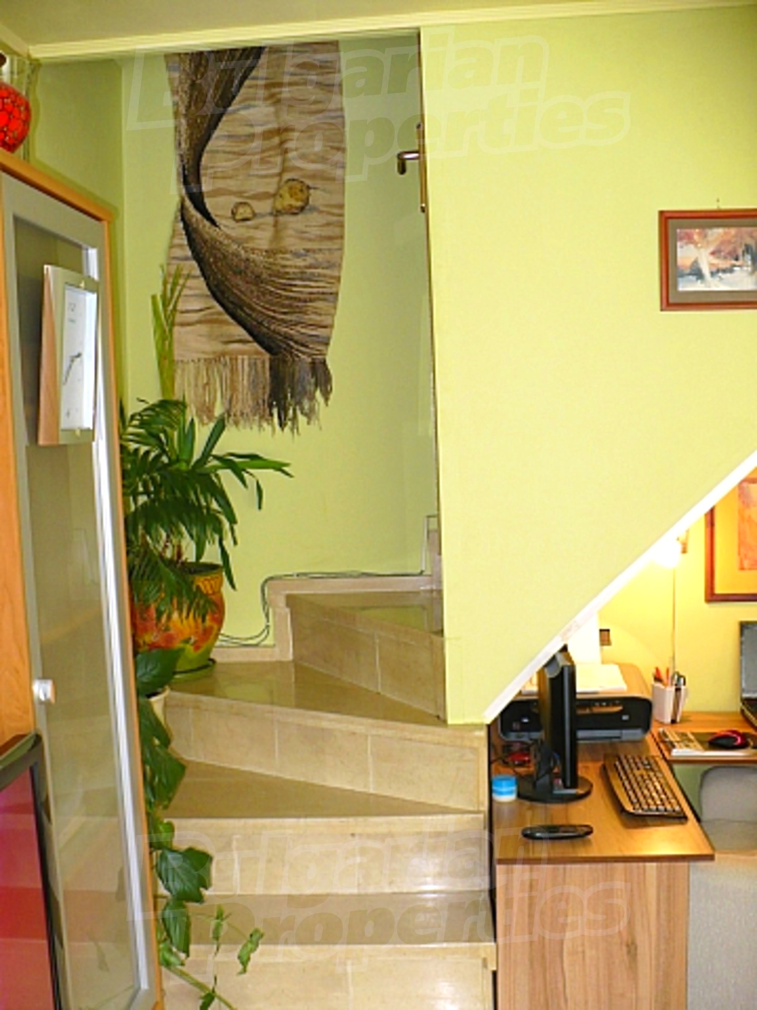 Gallery Picture 16