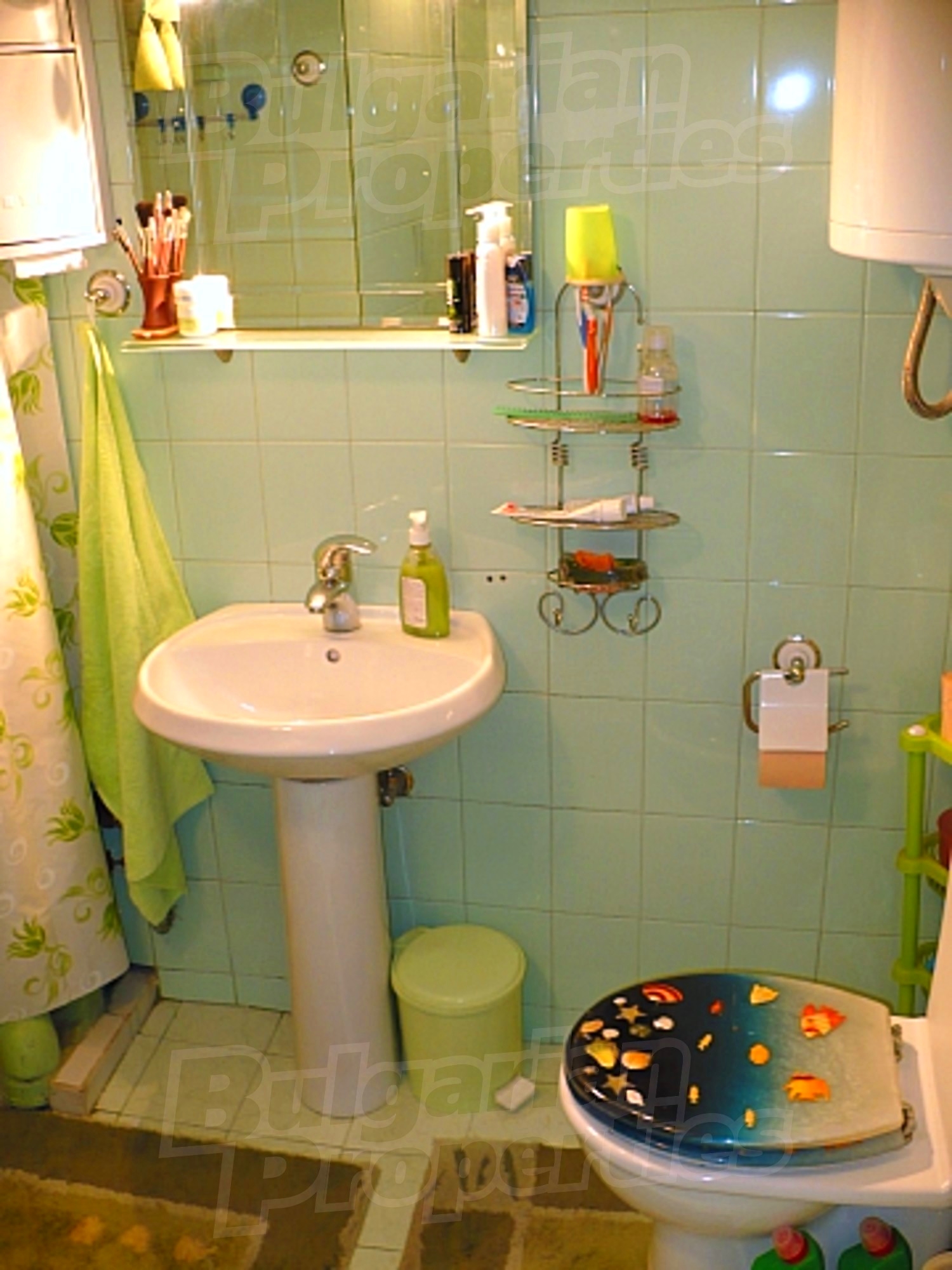Gallery Picture 30