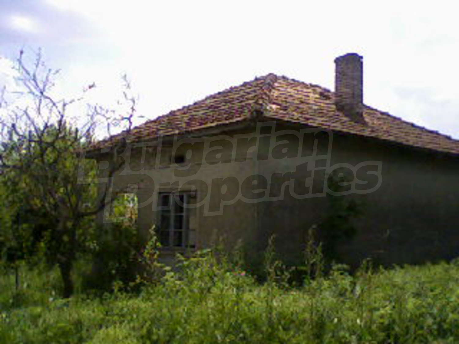 Gallery Picture 3