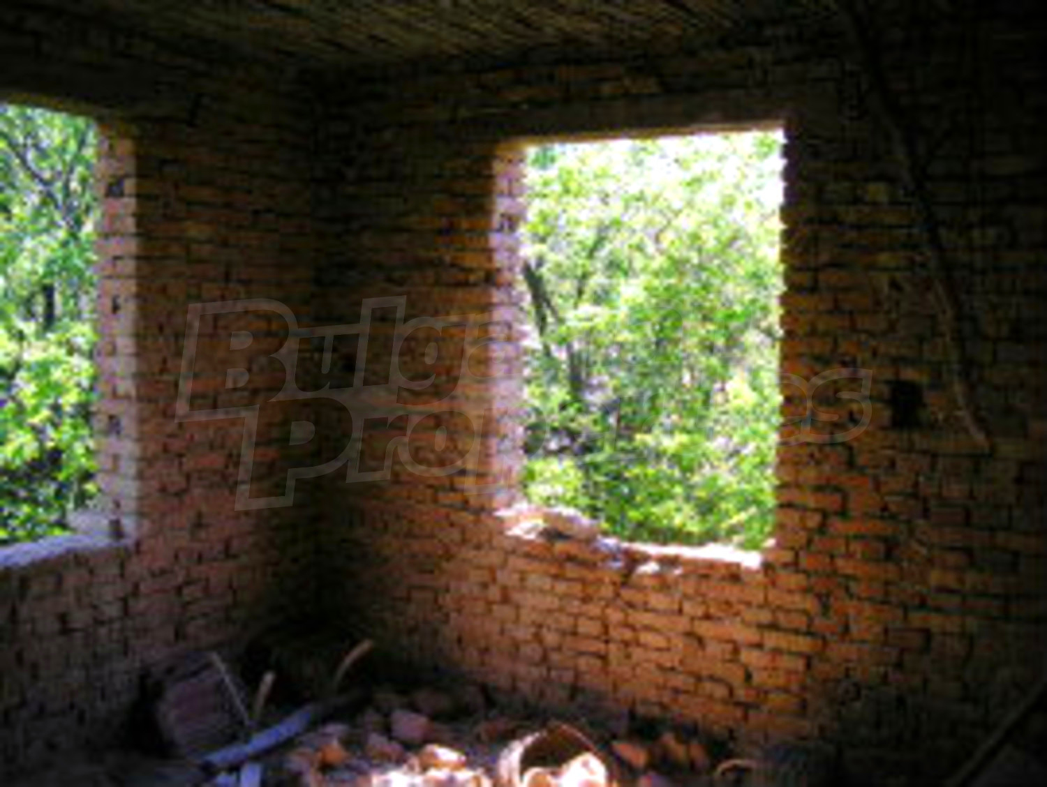 Gallery Picture 10