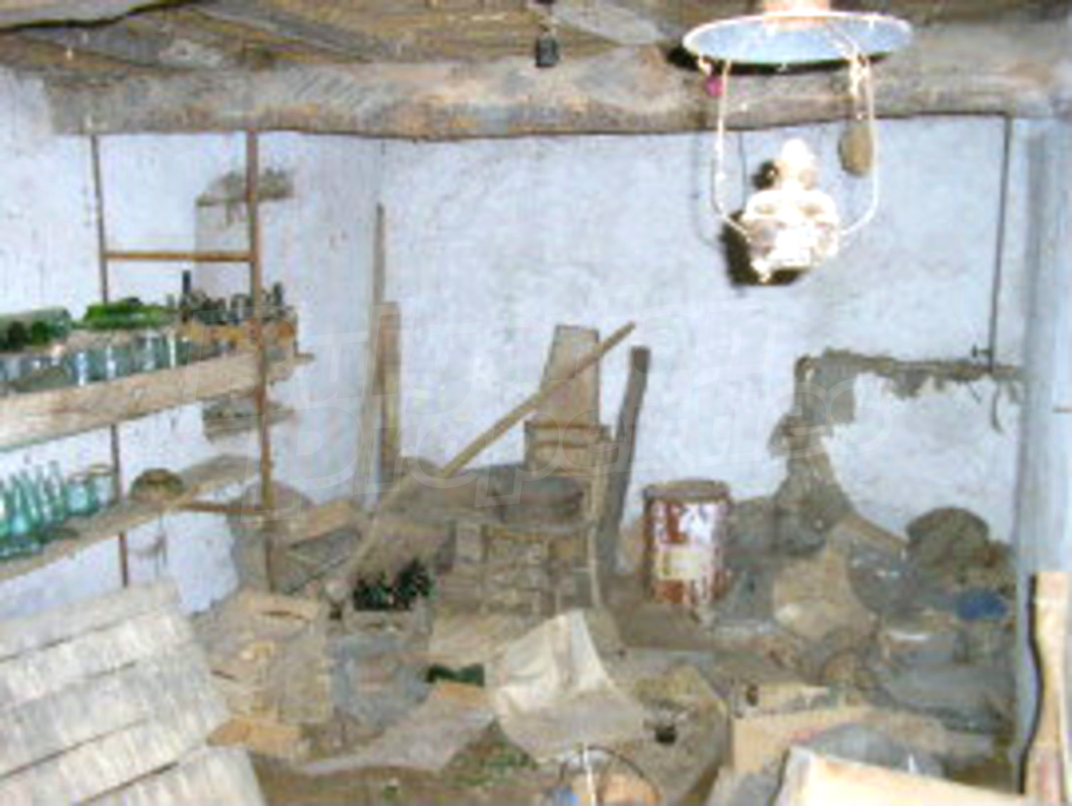 Gallery Picture 7