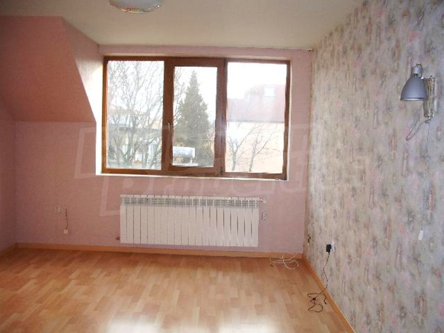 Gallery Picture 8