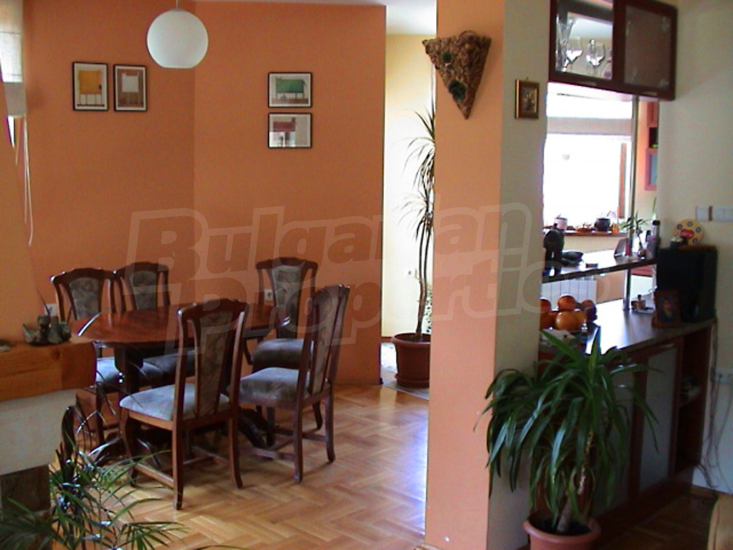 Gallery Picture 11