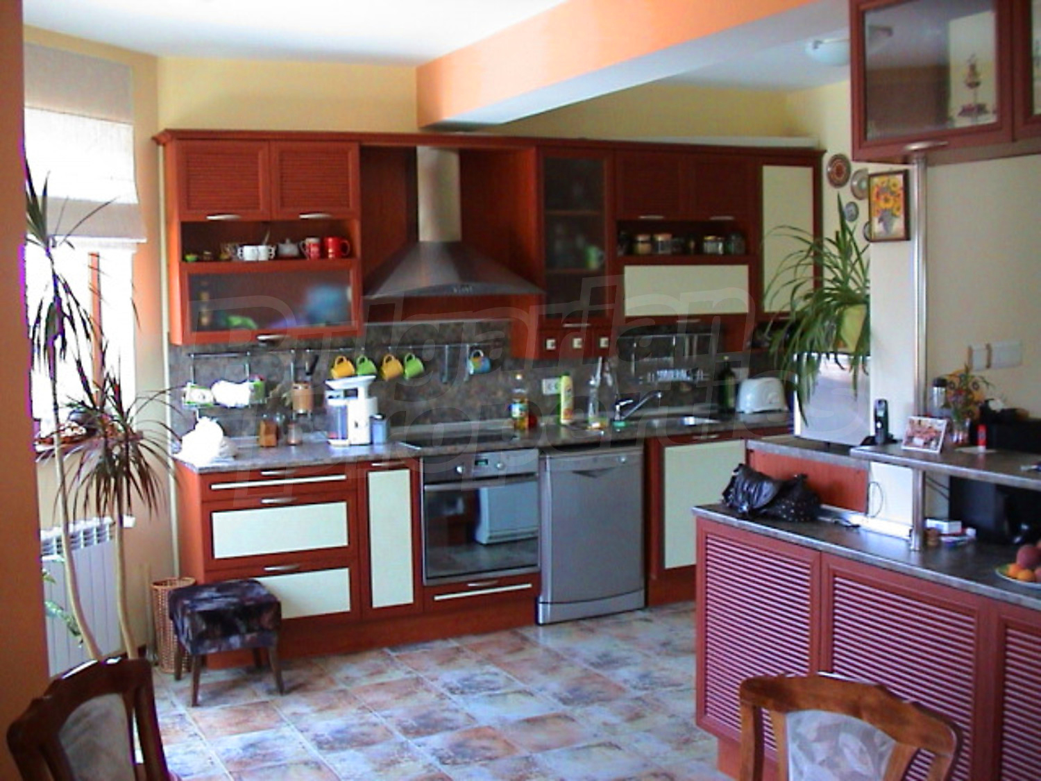 Gallery Picture 12