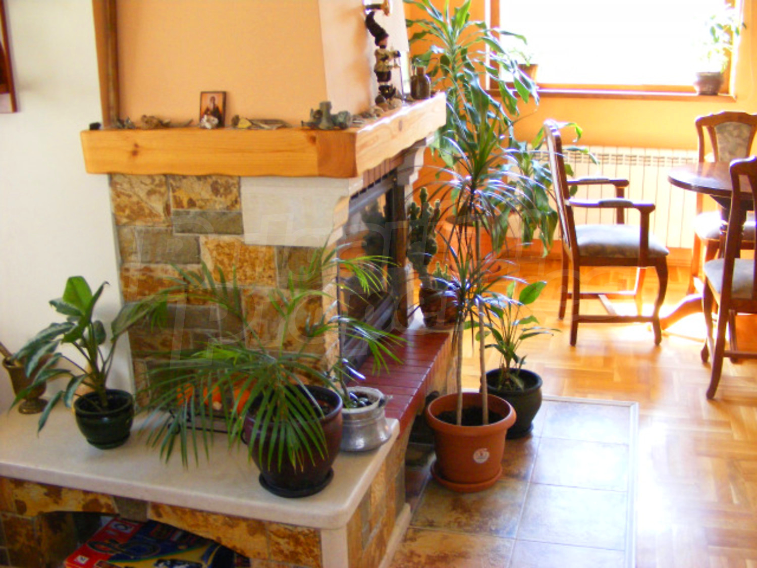 Gallery Picture 15