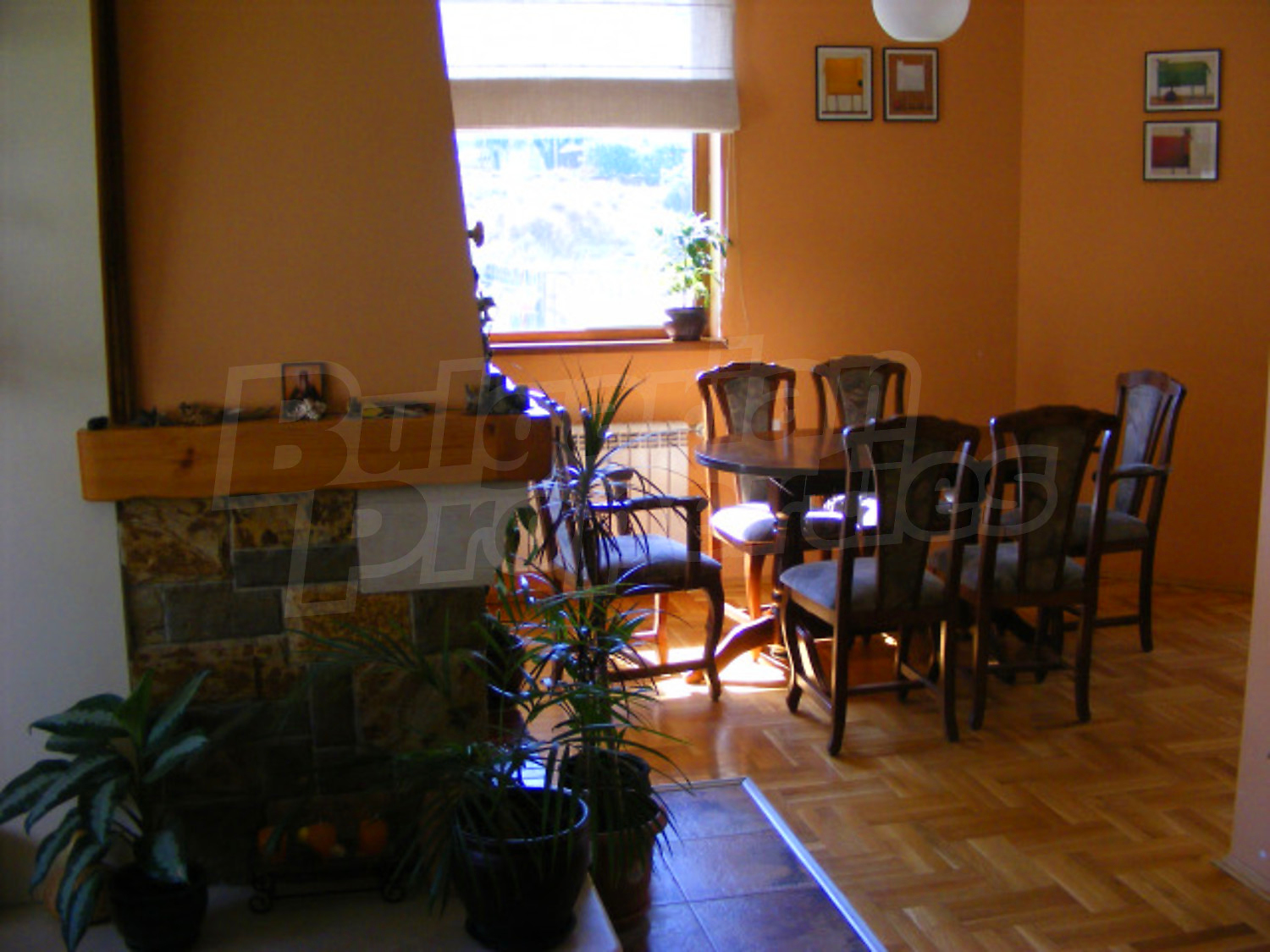 Gallery Picture 16