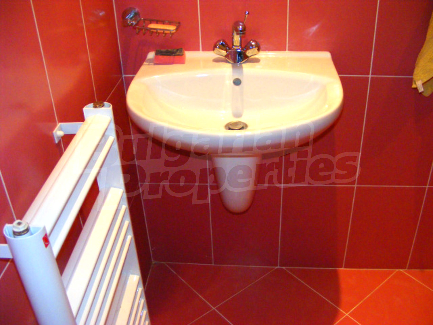 Gallery Picture 19