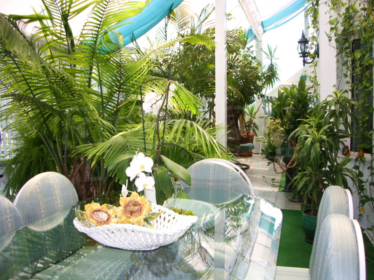 Gallery Picture 11