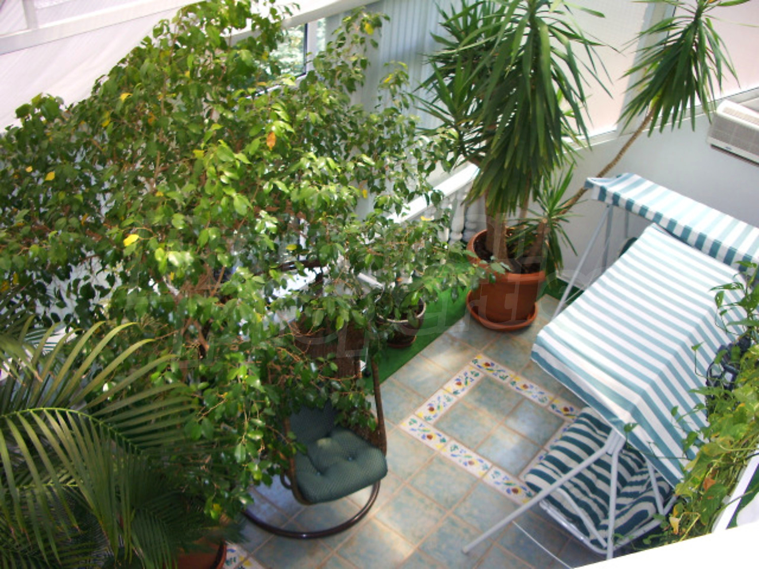 Gallery Picture 18