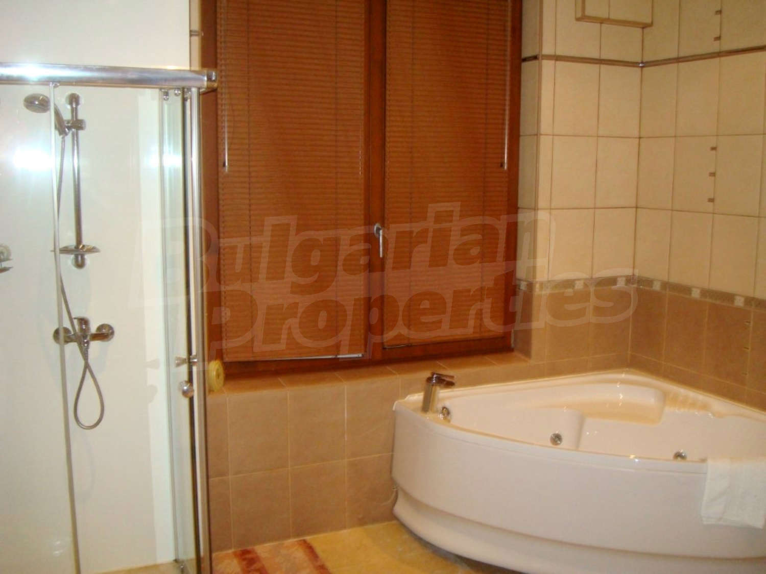 Gallery Picture 16