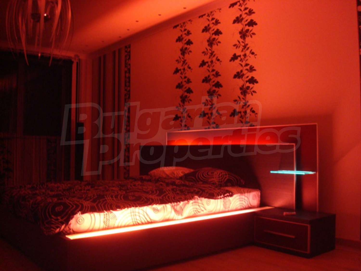 Gallery Picture 16