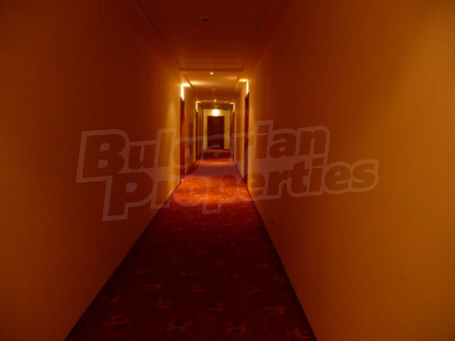 Gallery Picture 14