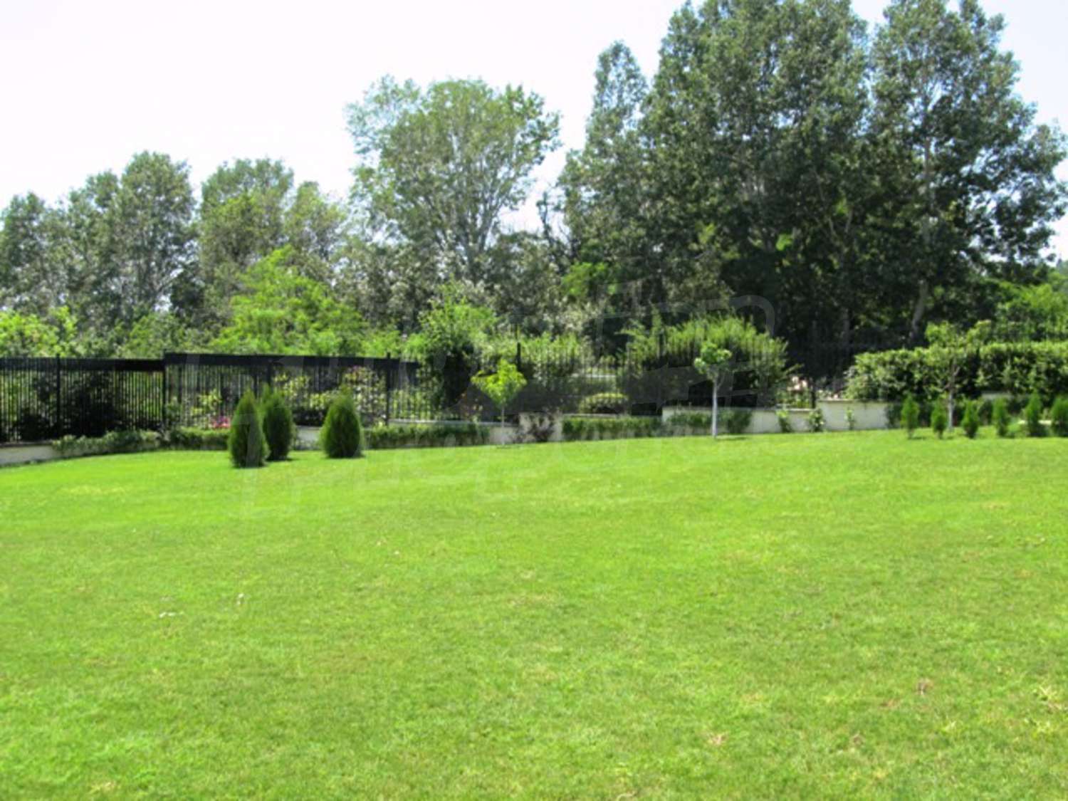 Gallery Picture 18