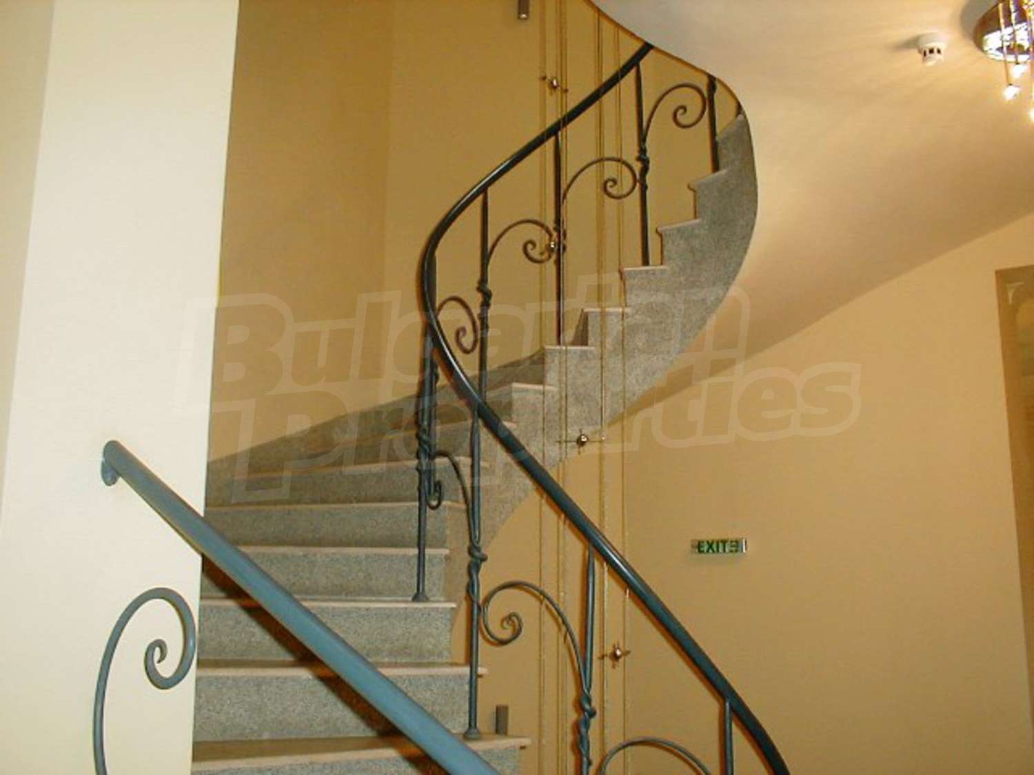 Gallery Picture 14