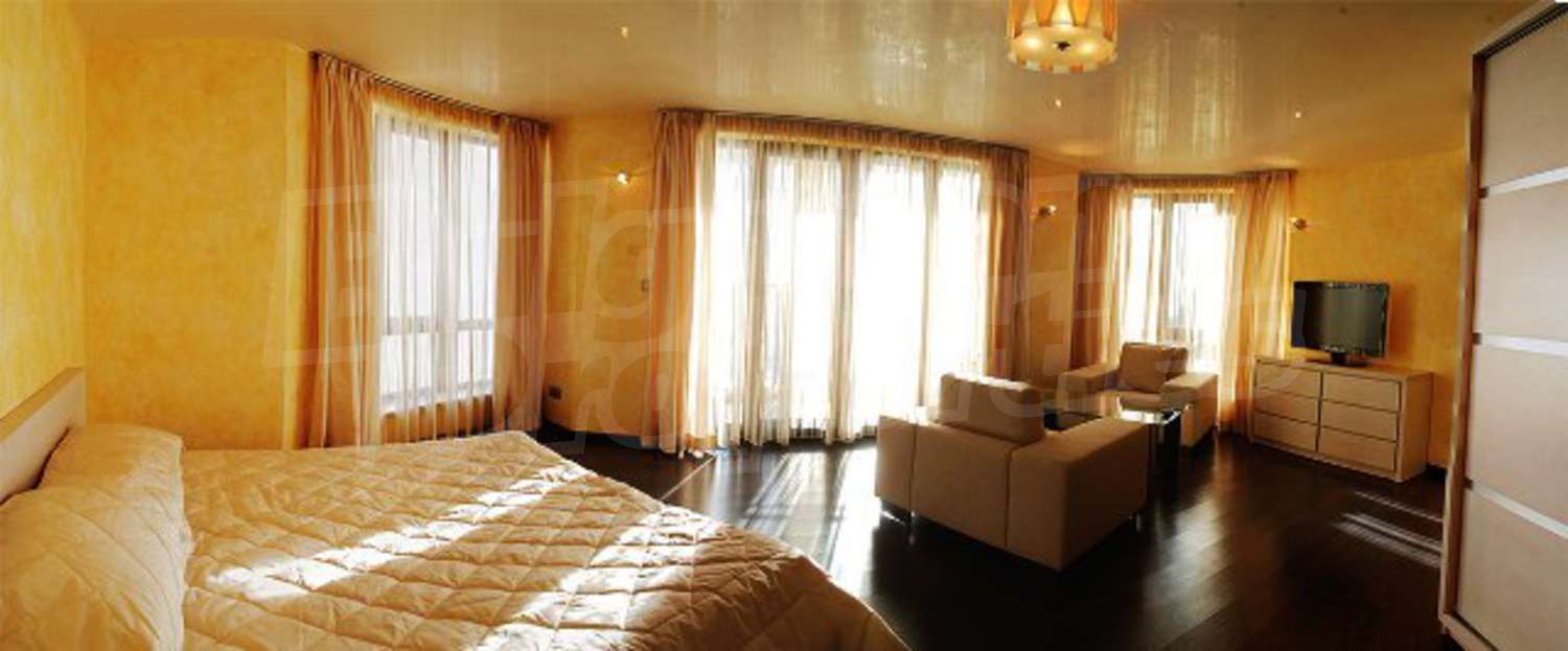 Gallery Picture 24