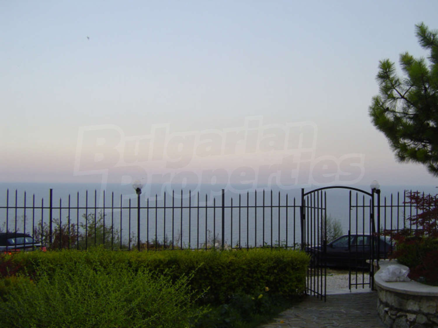 Gallery Picture 9