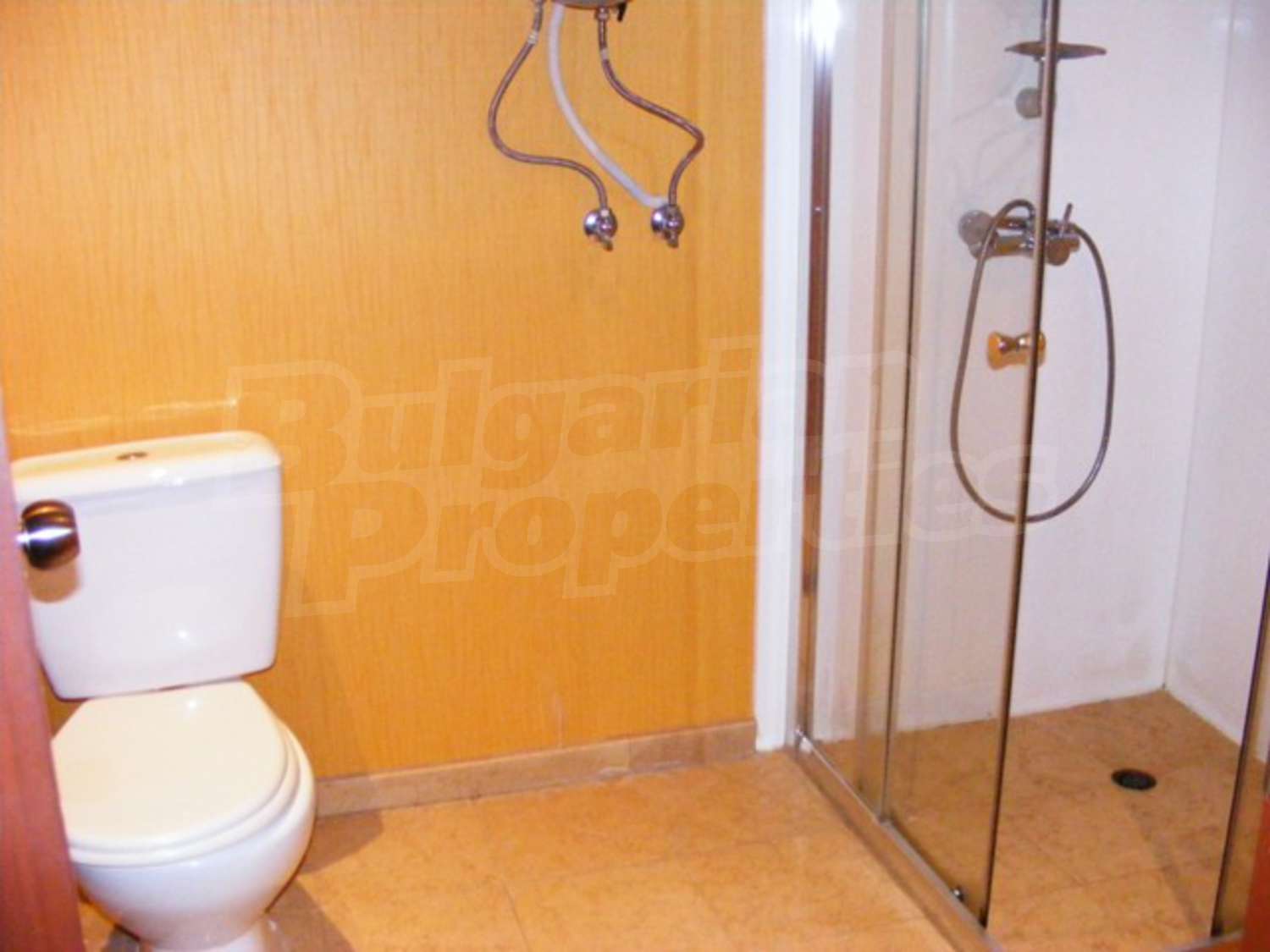 Gallery Picture 7