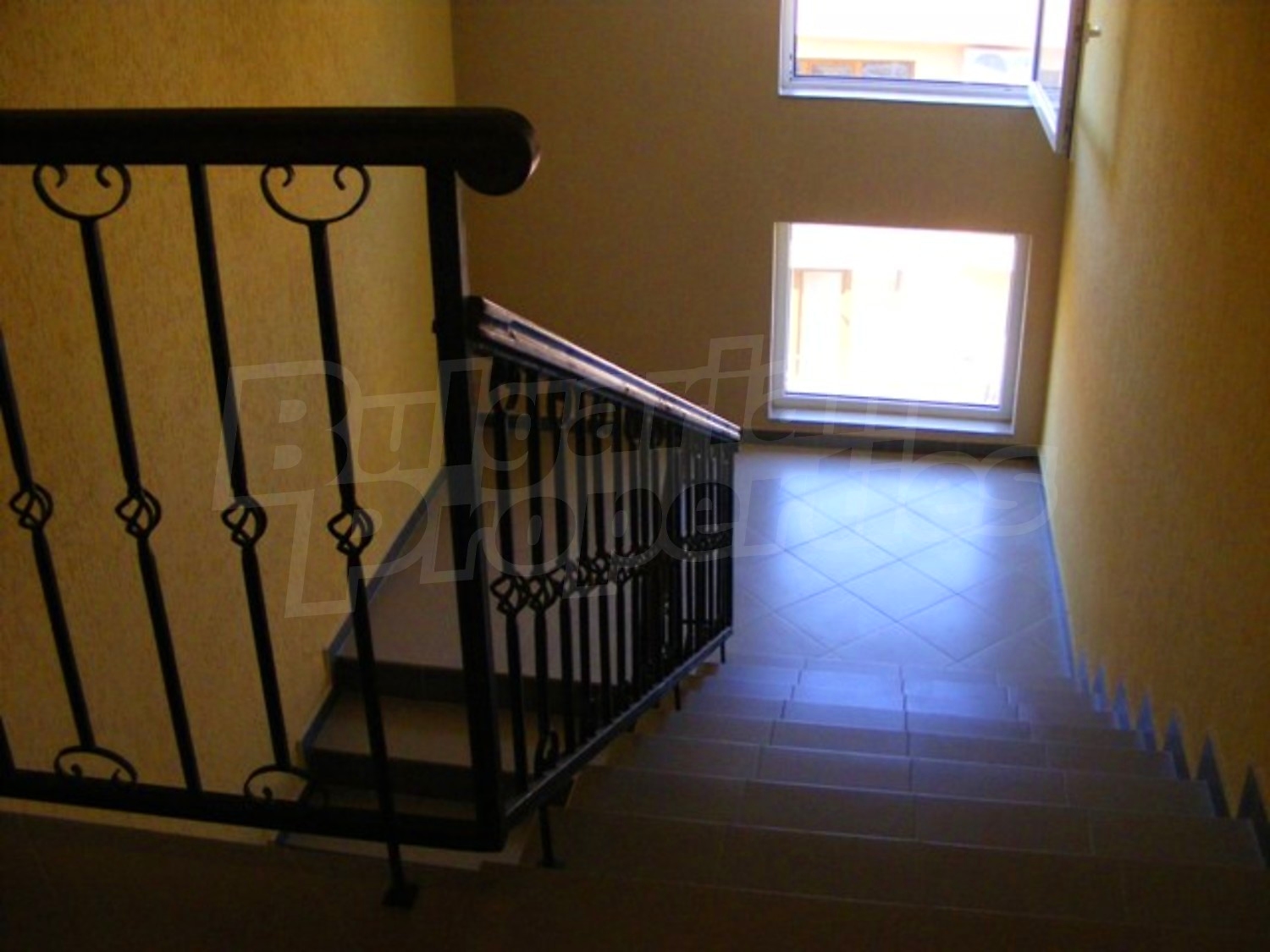 Gallery Picture 17