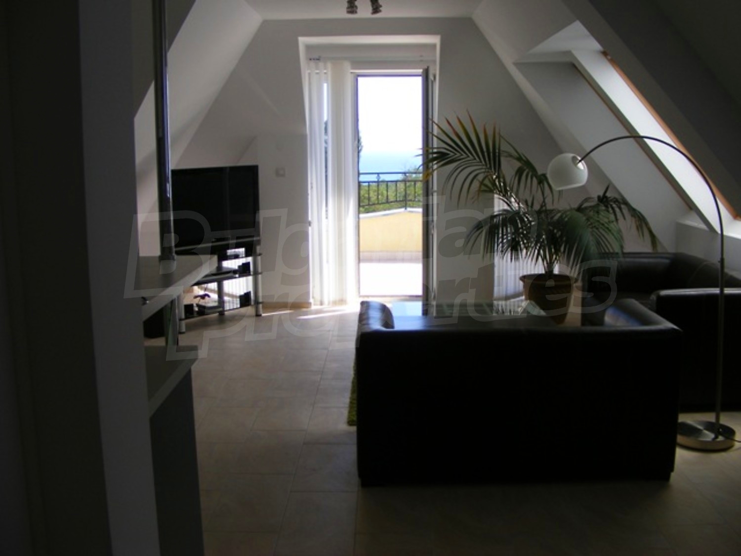 Gallery Picture 23