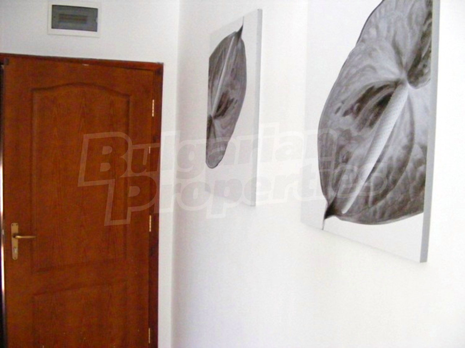 Gallery Picture 27