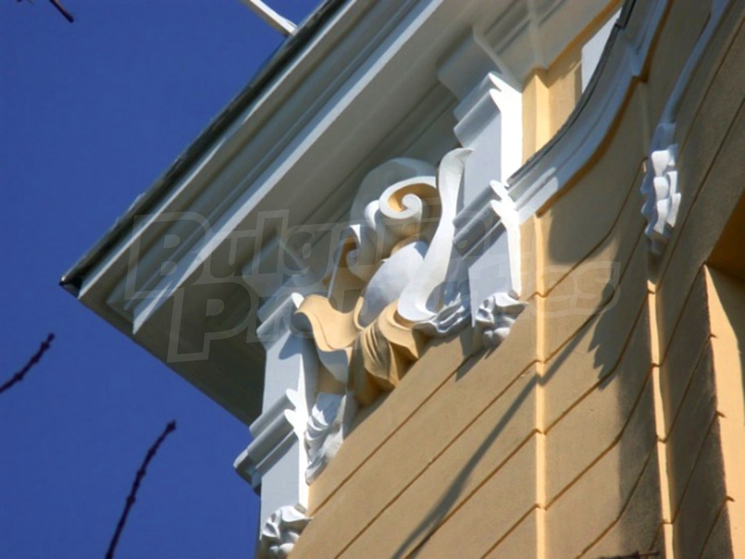 Gallery Picture 8