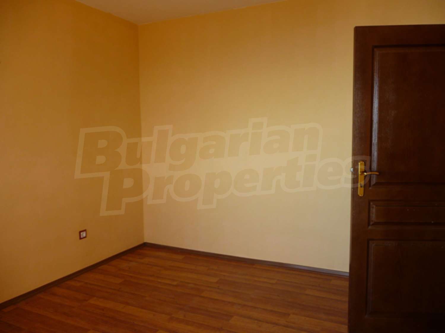Gallery Picture 12