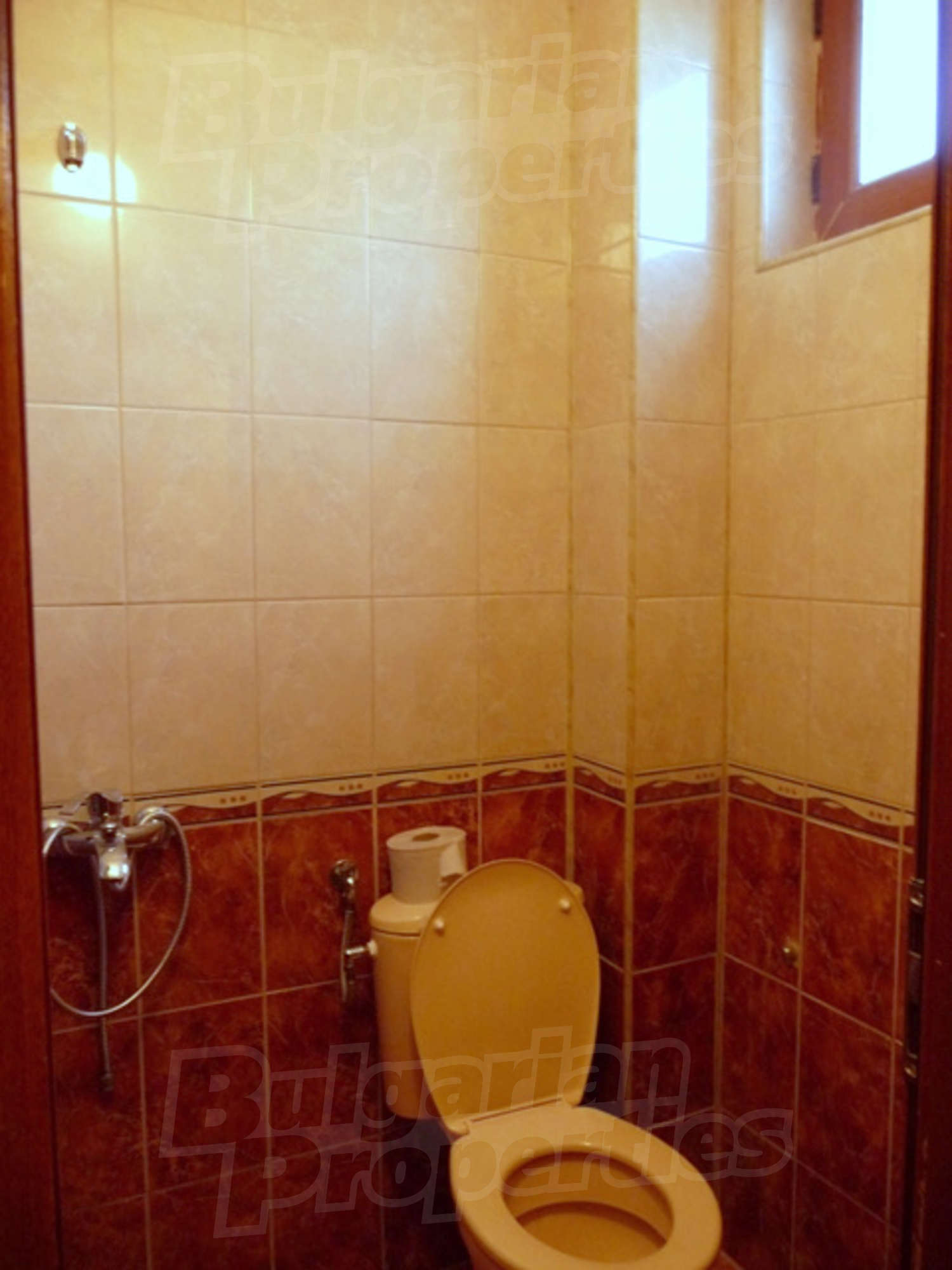 Gallery Picture 19
