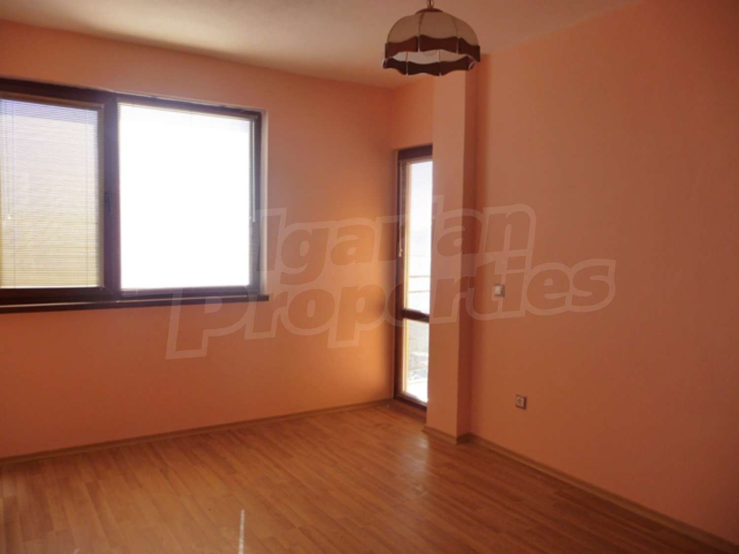 Gallery Picture 26