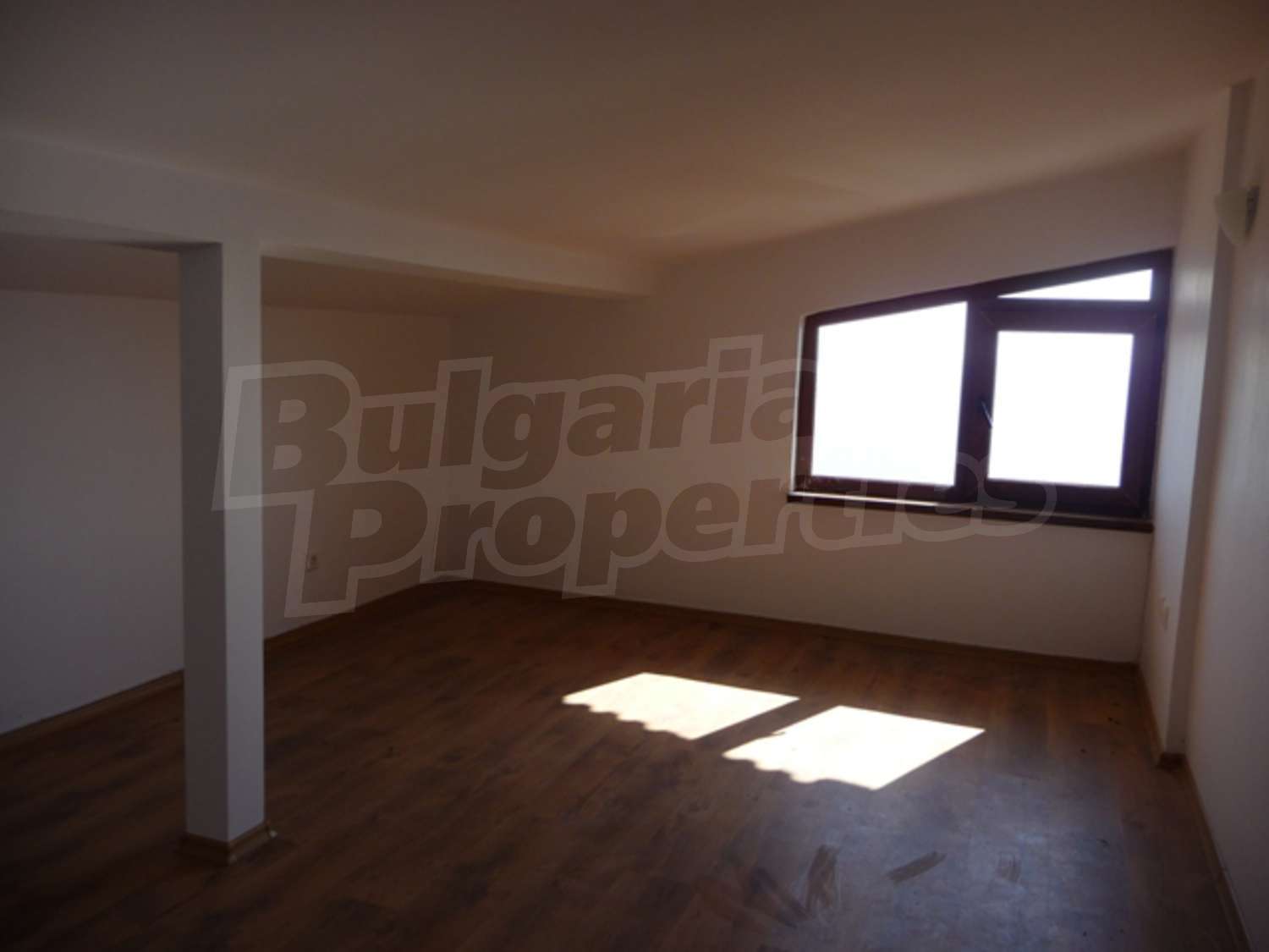 Gallery Picture 31