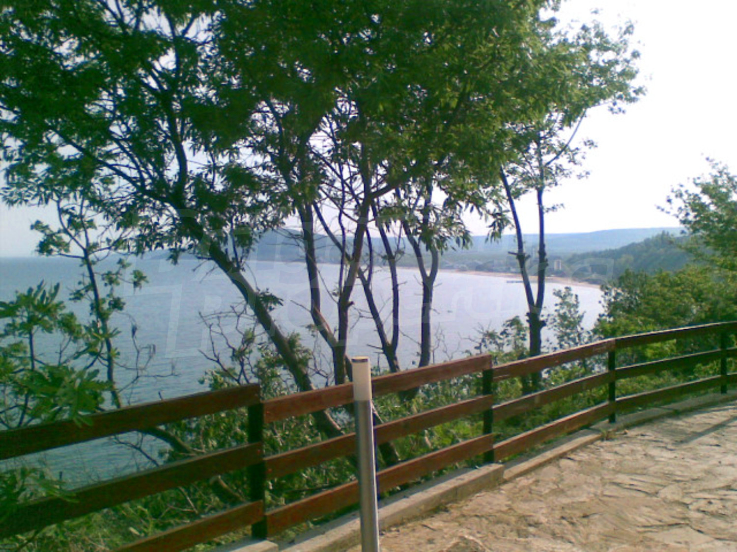 Gallery Picture 17