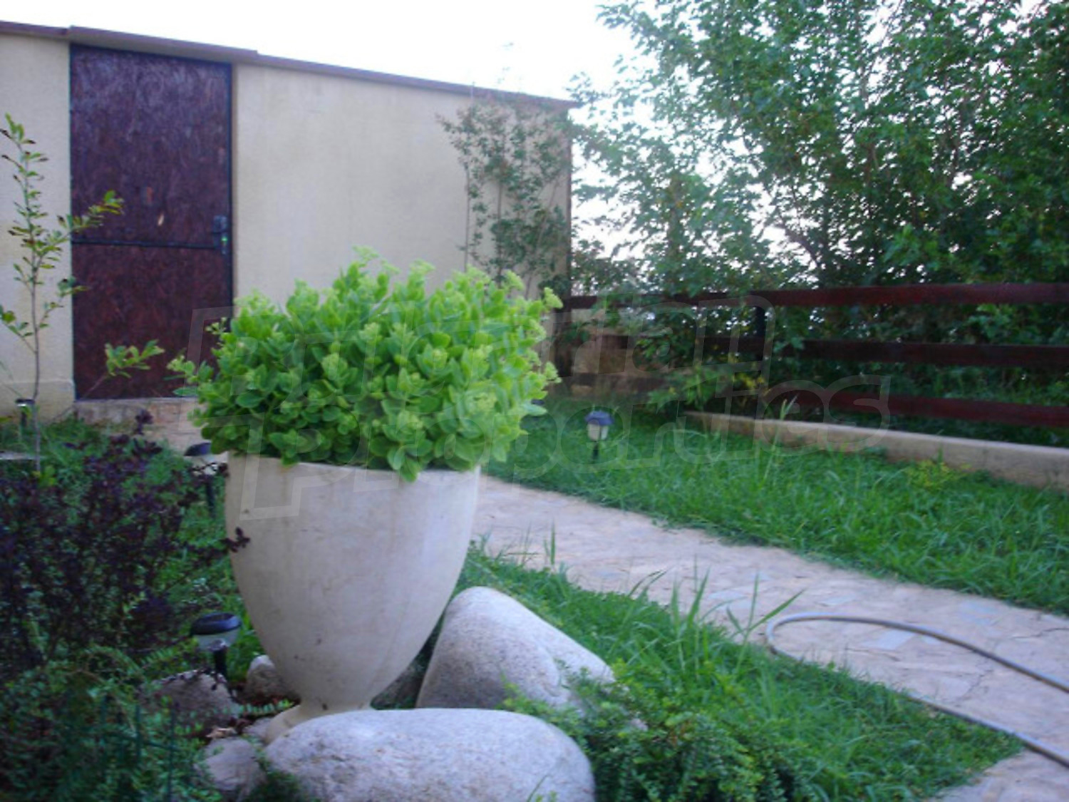 Gallery Picture 6