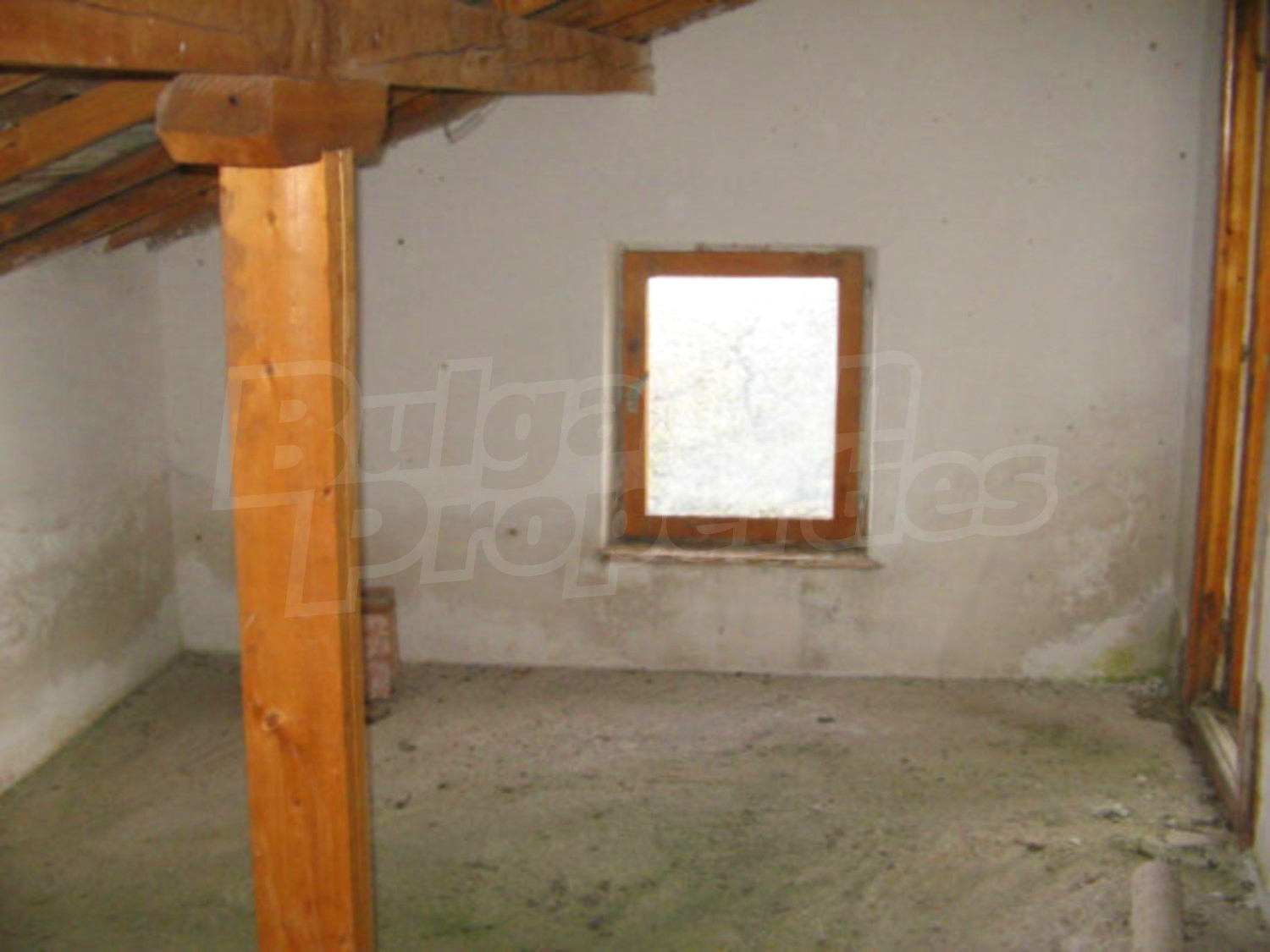 Gallery Picture 12