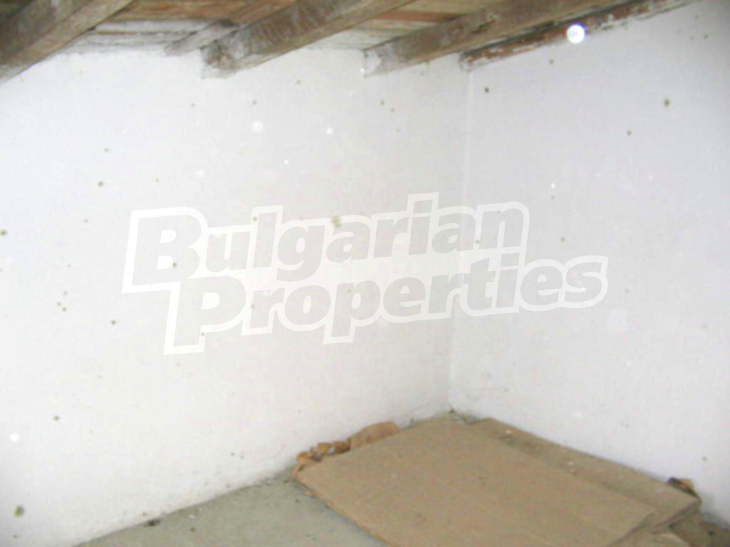 Gallery Picture 14