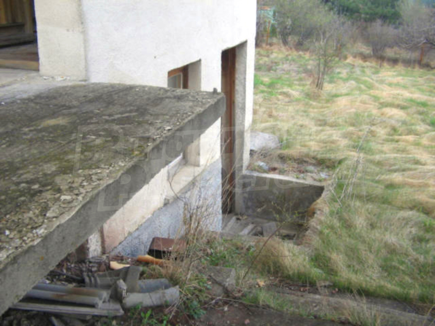 Gallery Picture 17