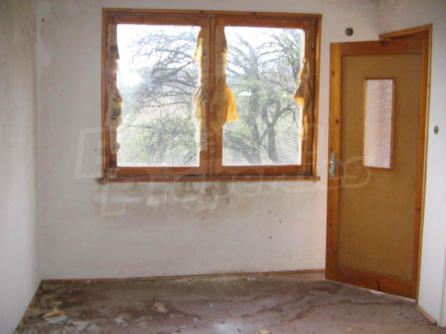 Gallery Picture 7