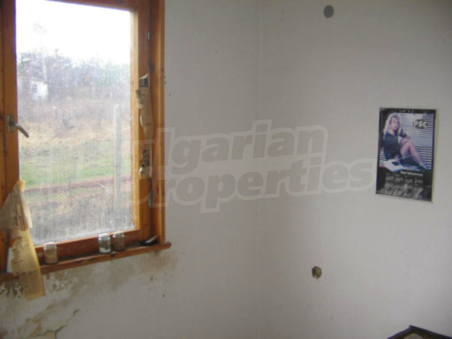Gallery Picture 8
