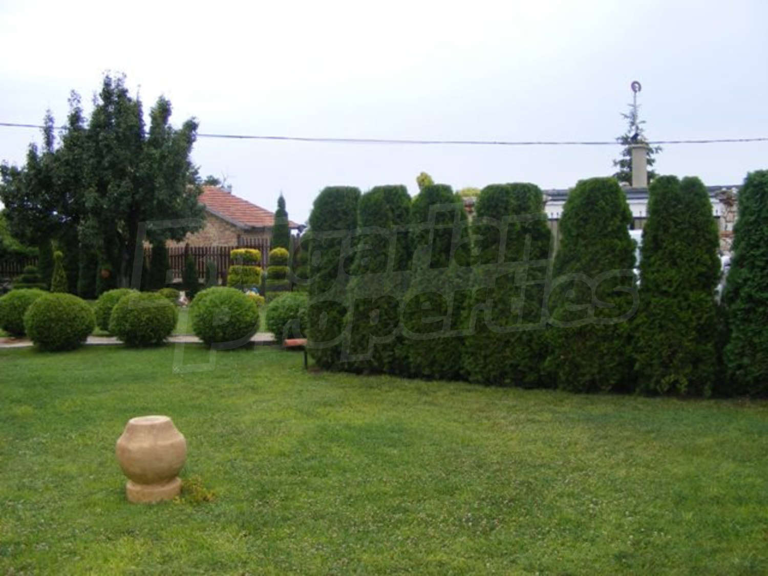 Gallery Picture 3