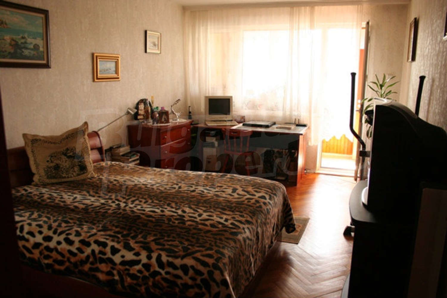 Gallery Picture 11