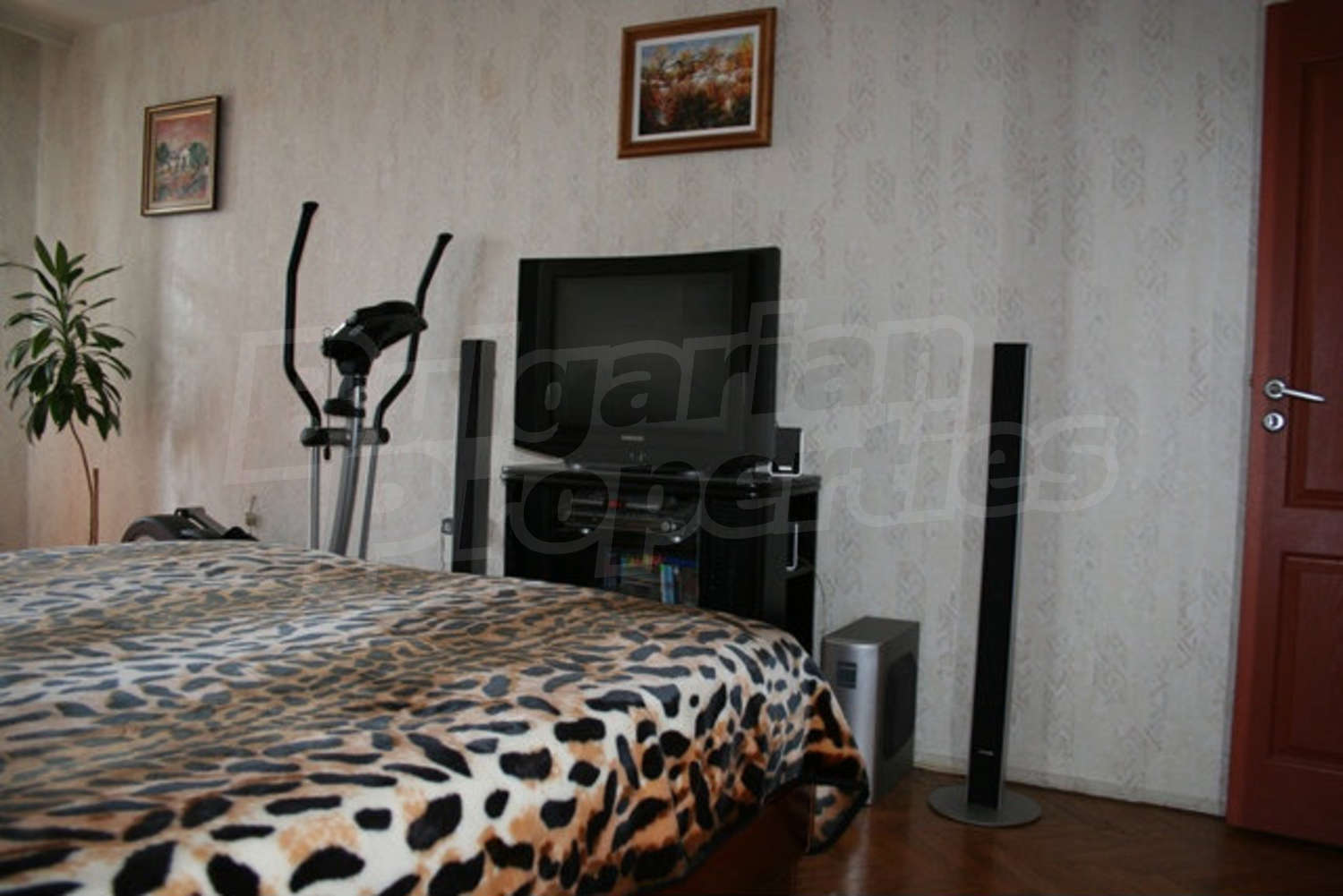 Gallery Picture 14